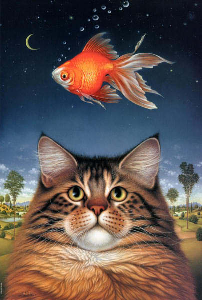 reve de chat-humourenvrac